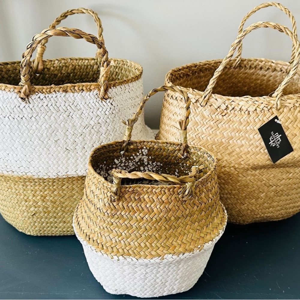 Set of 3 SeaGrass Jelly Baskets